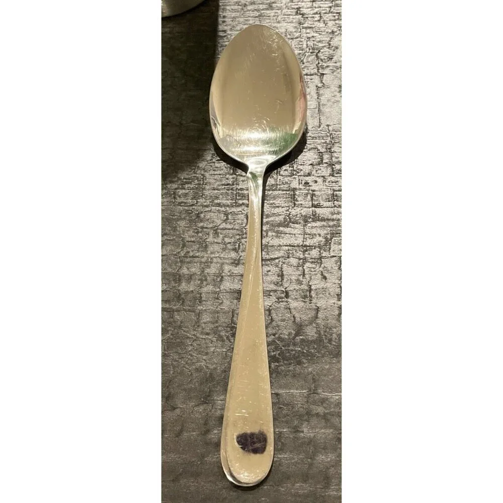 Oneida Stainless Flight Reliance Serving Spoon Flatware Vintage Stainless‎